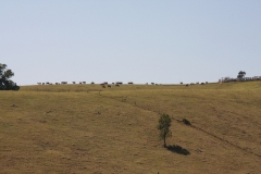 Atherton Tablelands