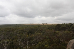 Coorong