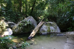 Daintree Nationalpark