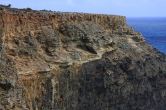 Cape Bridgewater