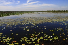 Kakadu-Nationalpark
