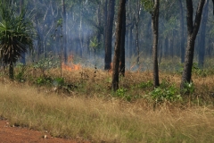 Litchfield-Nationalpark