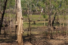 Undara-Volcanic-Nationalpark